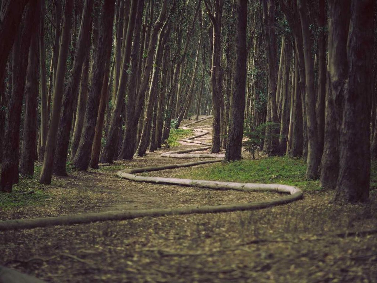 QA Images Multiple Images QA Images Multiple Images