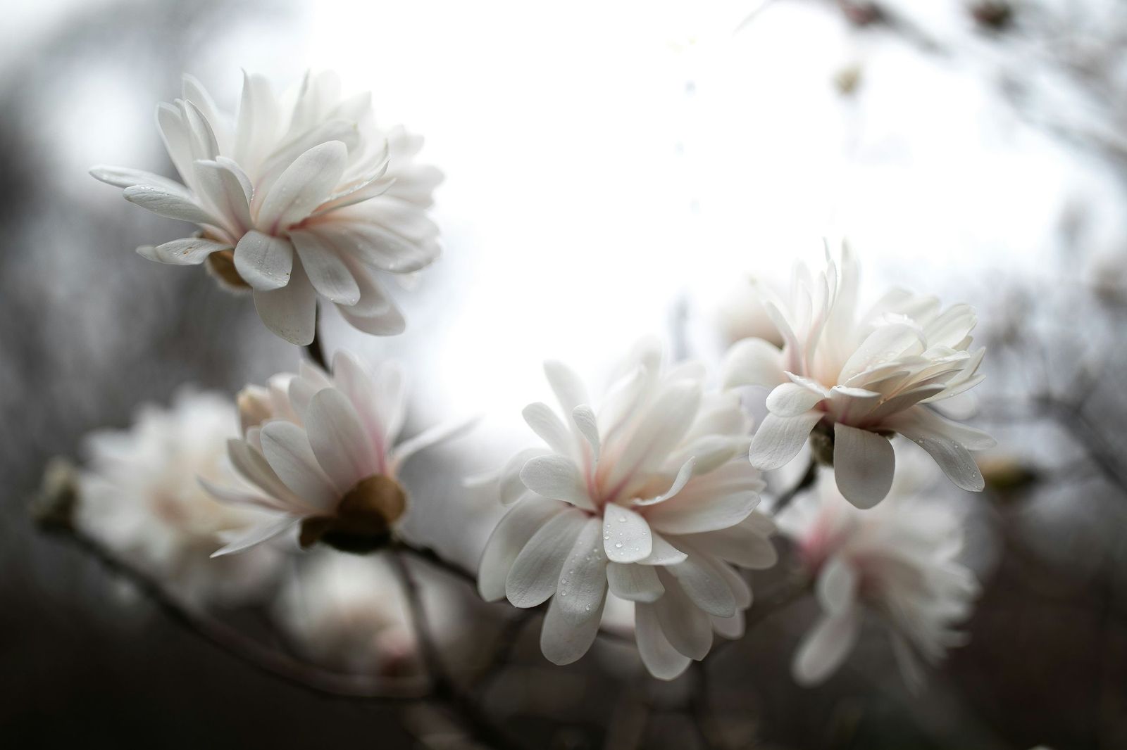 maddy-hunt-Fj6bN_DV0P0-unsplash maddy-hunt-Fj6bN_DV0P0-unsplash